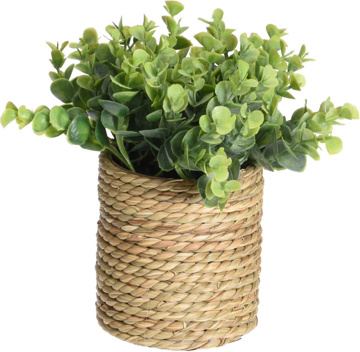 Artificial Plant in Seagrass Pot, 23cm