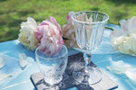 "COUNTRY CHIC" COLORLESS GOBLET