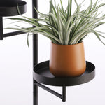 Perry Wall Rack - Round Top Black Metal Shelf, 30x23x80cm