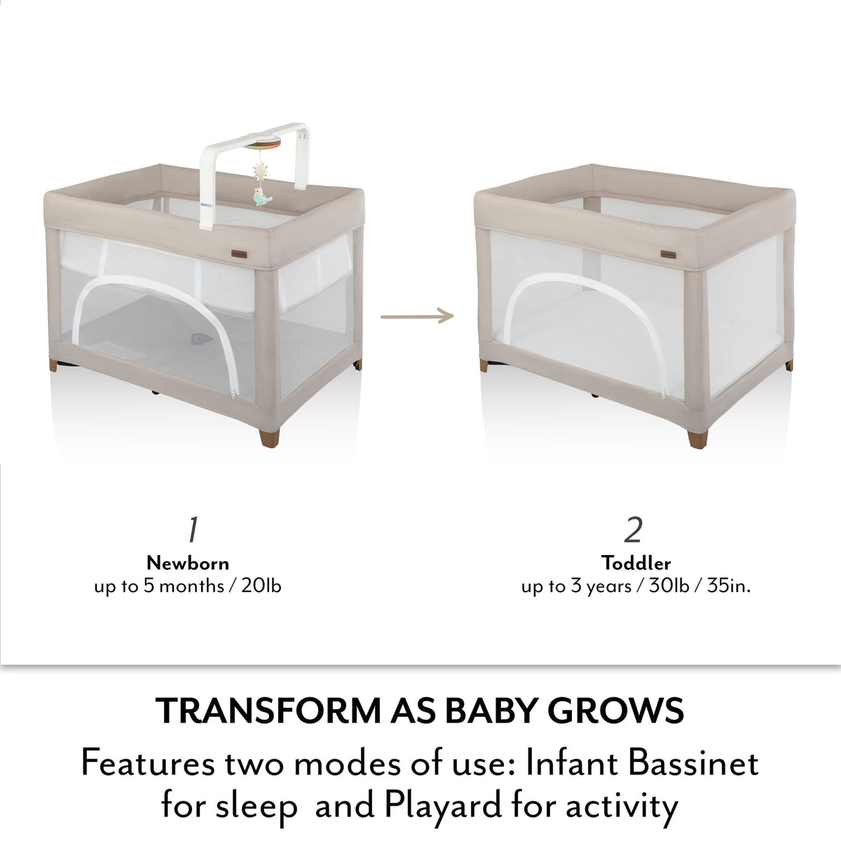 Evenflo: Eris One-Hand Playard with Bassinet – Coastal Coffee