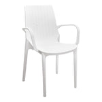 Glenda-A Armchair