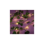 Make It Real 3C4 G Photo Collage And Ivy Fairy Light Set