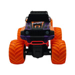 Team City RC Panther Car 1:16
