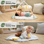 Tummy to Toes 6-in-1 Milestones Center