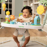 Tummy to Toes 6-in-1 Milestones Center