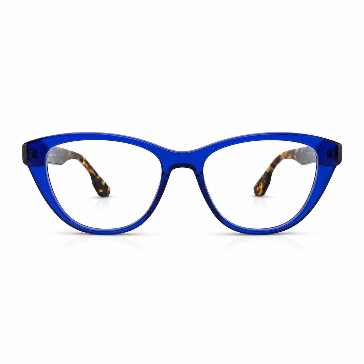 Blue eyeglasses with tortoise temple 