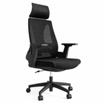 Mesh Office Chair with Adjustable Headrest