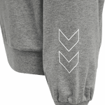 HUMMEL HMLBOXLINE HOODIE