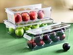 Tall Clear Organizer with Lid, Modern Acrylic Storage