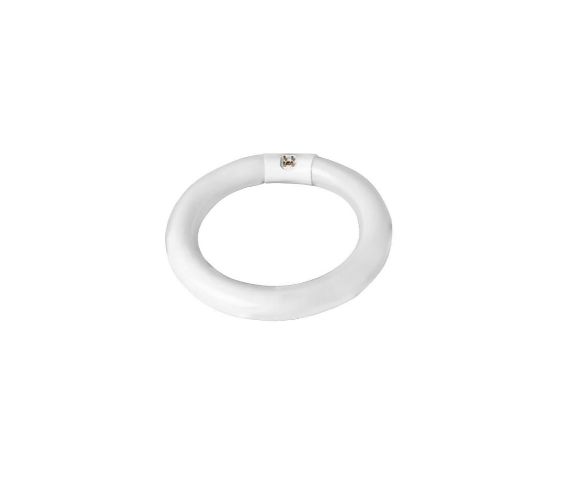 Magnifier Accessory | Desktop Neon Lamp | 15cm | 4-Pin