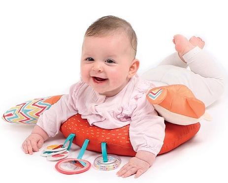 Fox Activity Cushion