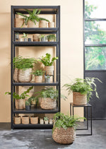 Alexis Round Flower Pot, Assorted Sizes, High-Quality Materials