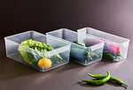 FRIGO Organizer - BPA Free, Food Safe Storage