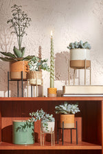 Alexis Round Wicker Flower Pot - 4 Assorted Sizes