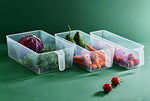 FRIGO ORGANIZER WITH HANDLE, Transparent, BPA Free