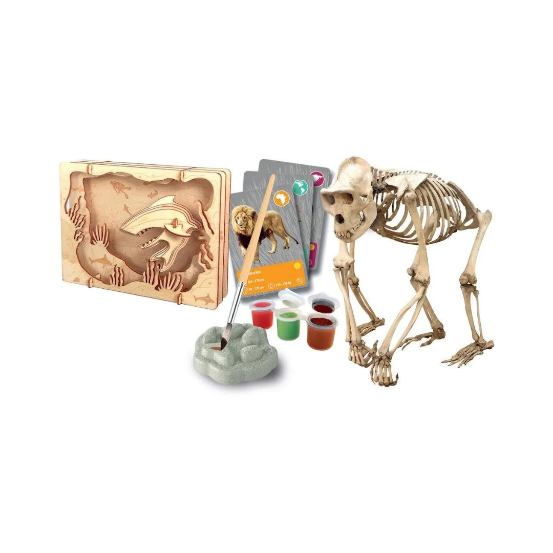 Clementoni Animal Discovery Kit With Virtual Reality
