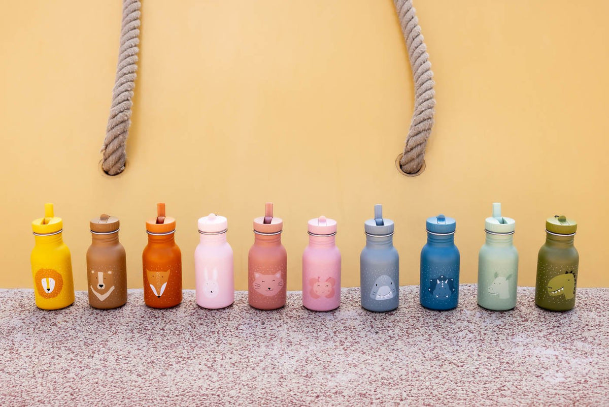 Trixie: Stainless Steel Water Bottle 350ml - Mr. Dino