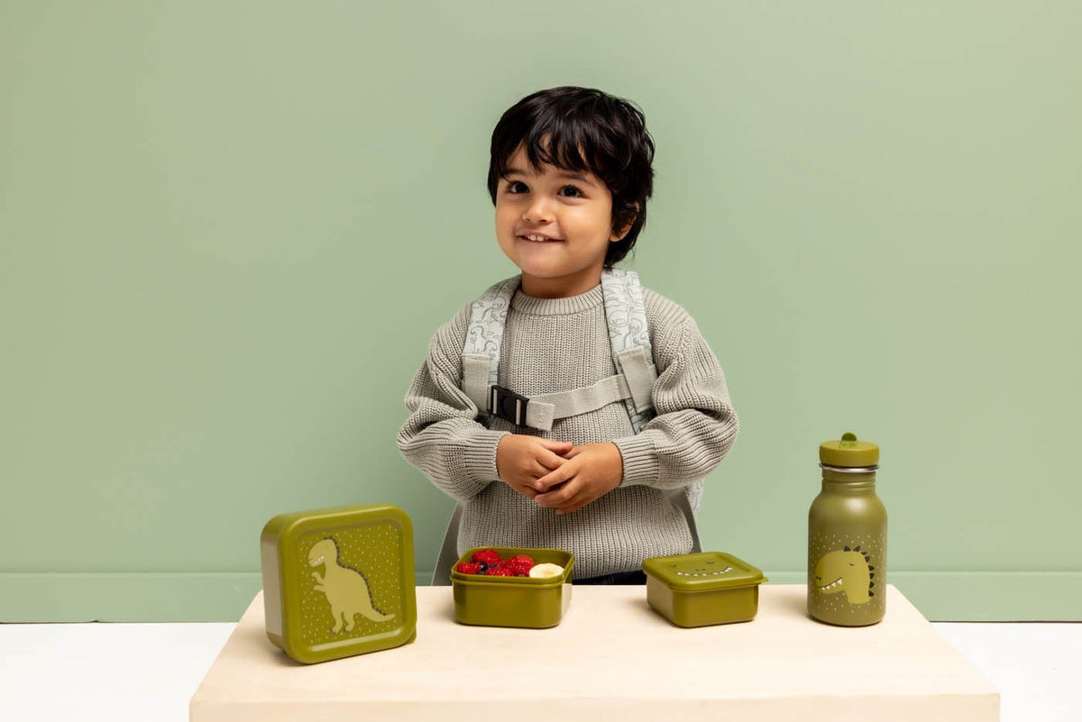 Trixie: Mr. Dino Nesting Snack Boxes - Set of 3