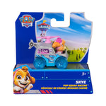 PAW Patrol Pup Squad Racers - Assorted