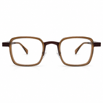 Eyeglasses brown