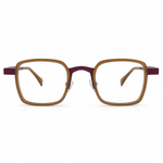 Brown and purple eyeglasses 