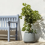 Conchino Bali Flowerpot