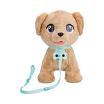 Imc Milo Play & Walk Dog
