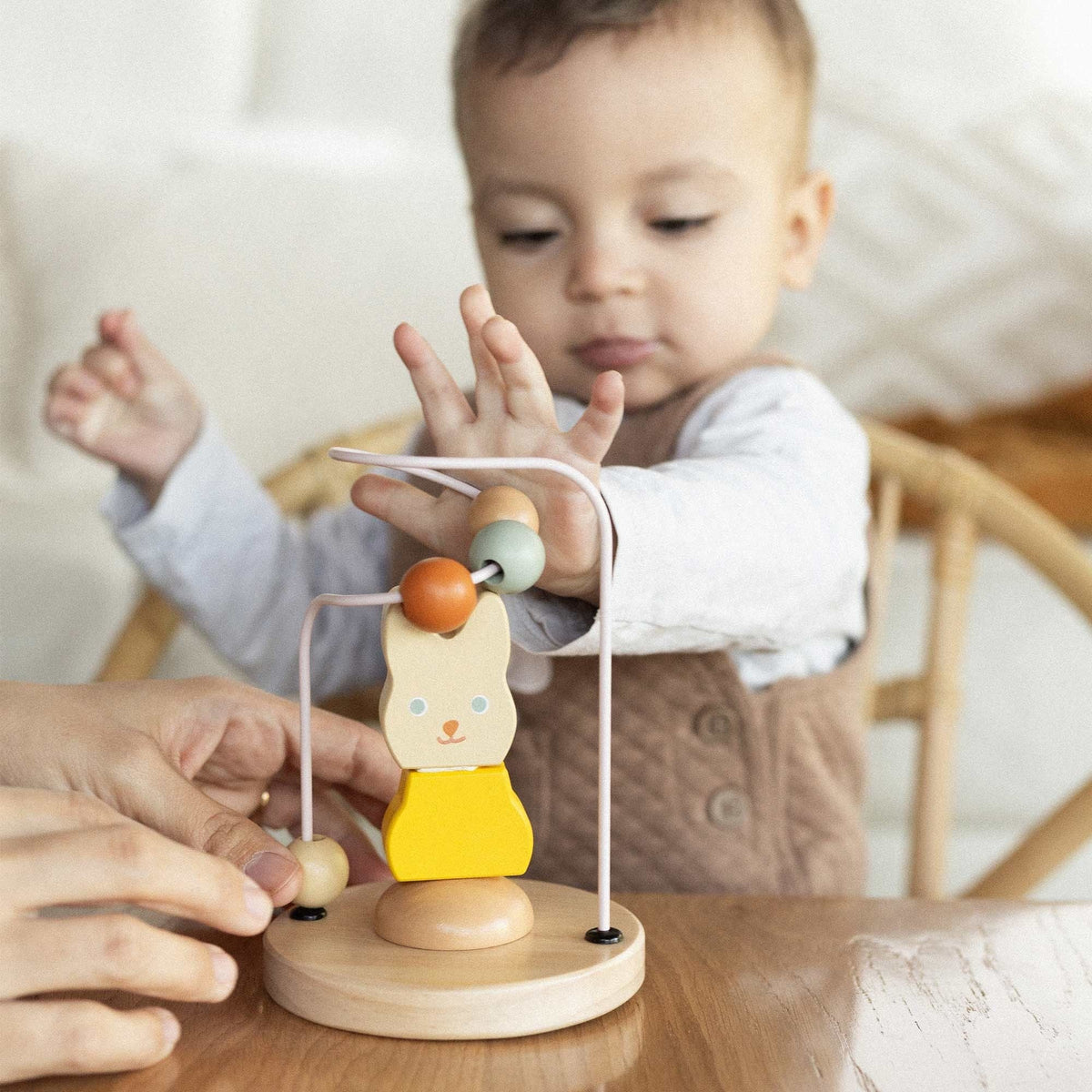 Wooden Skill Development Toy
