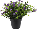 PLANT IN PP POT - 8 Stylish Designs