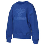 HUMMEL HMLCARTER SWEATSHIRT