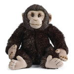Living Nature Chimp