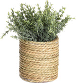 Artificial Plant in Seagrass Pot, 23cm