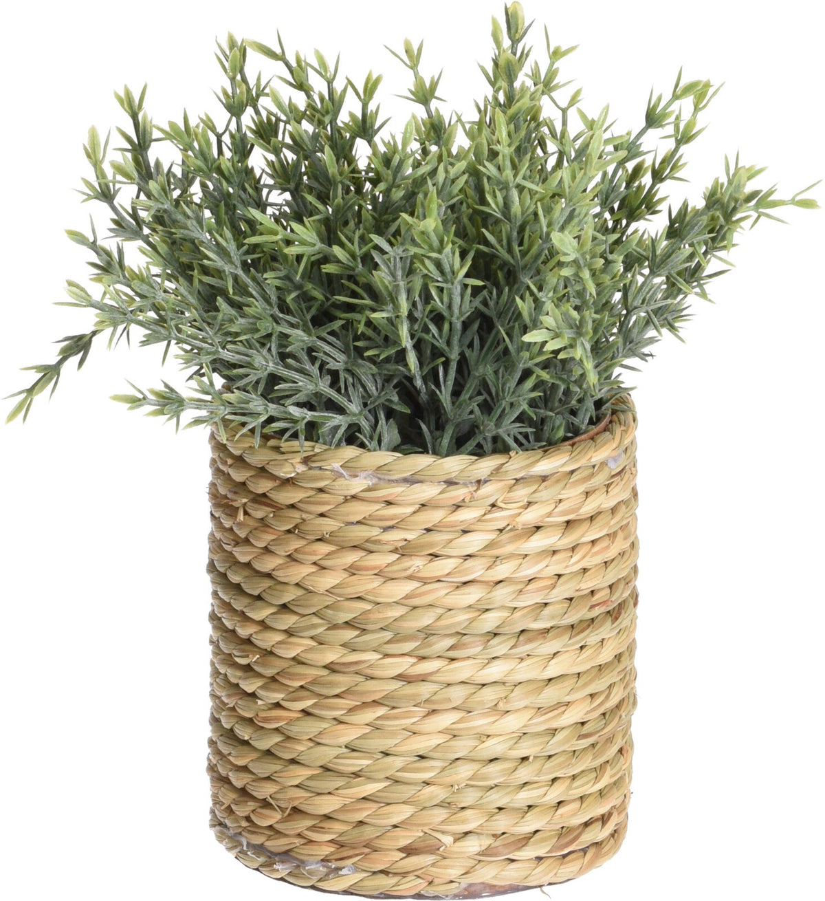Artificial Plant in Seagrass Pot, 23cm