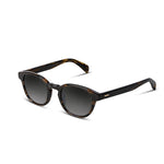Sunglasses with dark tortoiseshell frame and gradient lenses on a white background