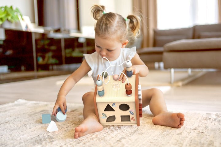 Speedy Monkey 5-in-1 Activity Cube