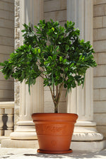 Alvera Flowerpot