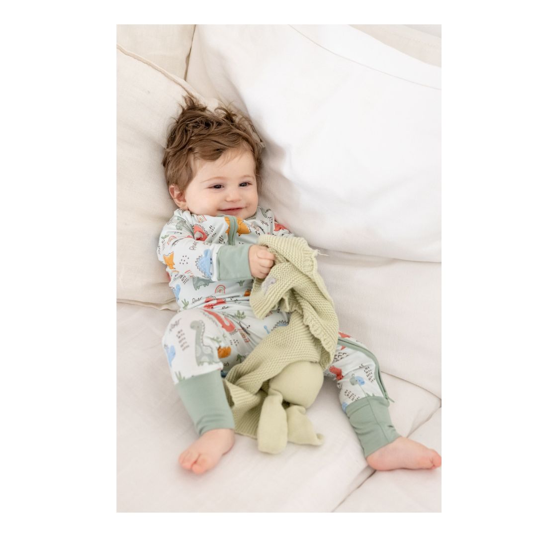 TeeJayz Dino Bamboo Zippy Onesie 18-24 Months