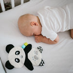Panda Polly