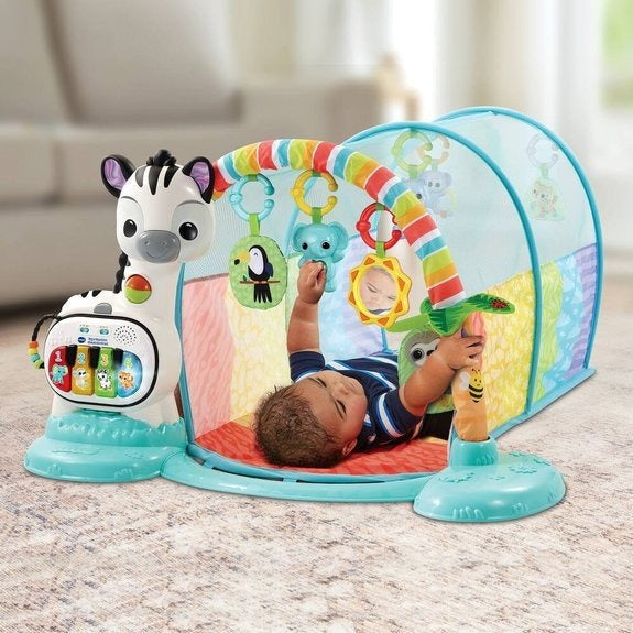 Baby 6-in-1 Super Discovery Tunnel - French