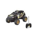 Team City RC Rally - 1:16