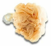 Bath Sponge 70g With Suction Cup