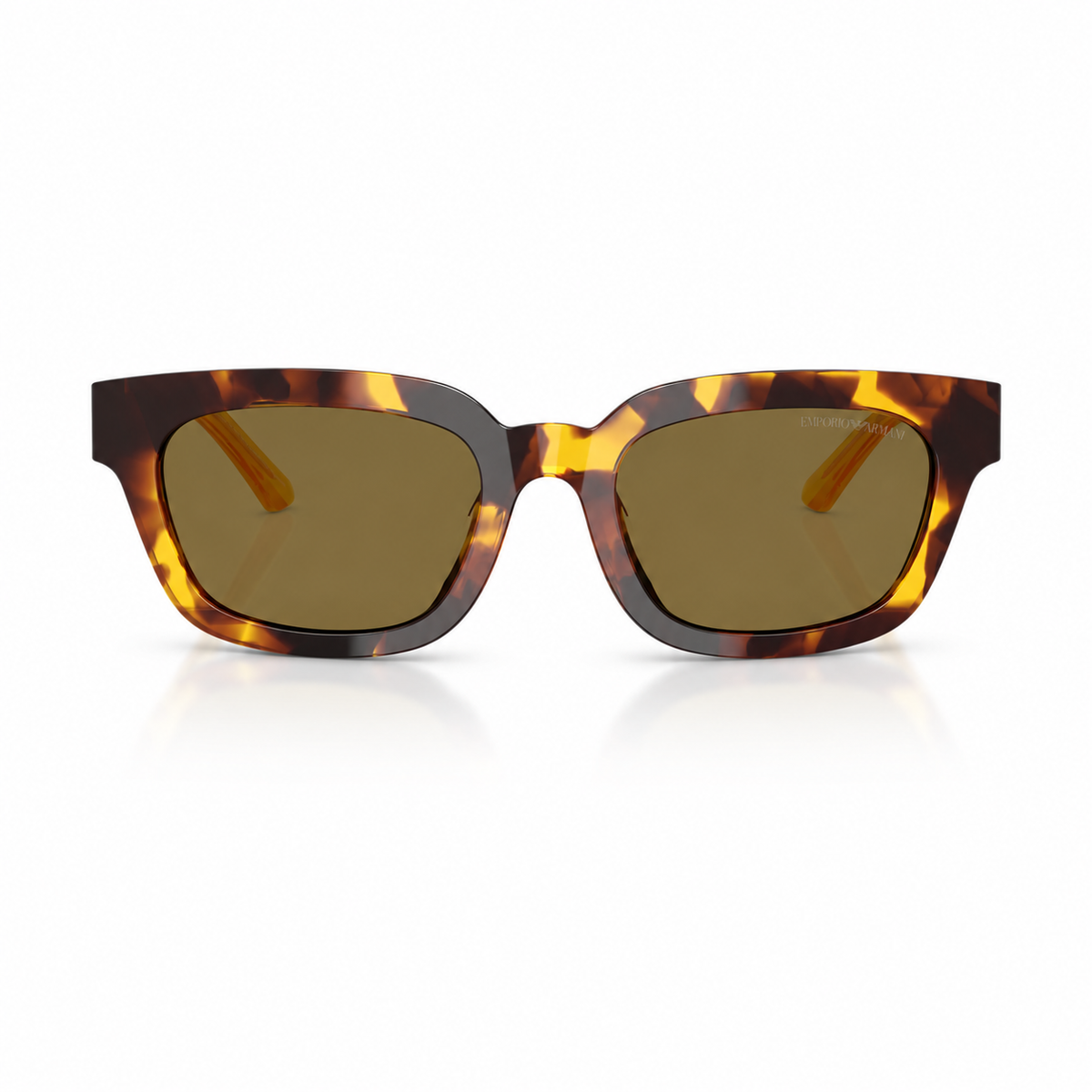 Havana sunglasses on a white background. 
