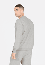 VIRTUS KAYDEN M CREW NECK