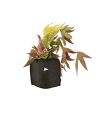 OSIRIS FACE Paper Vase