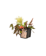 OSIRIS FACE Paper Vase