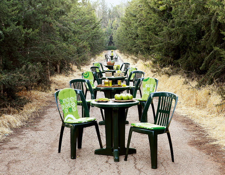 Fiesta Striped Chair