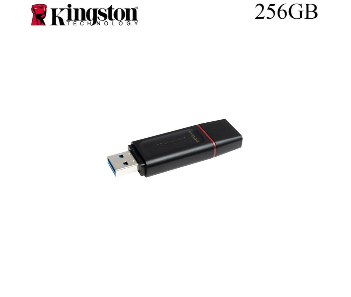 Memory Stick | USB 3.2 | 256GB | Kingston DTX