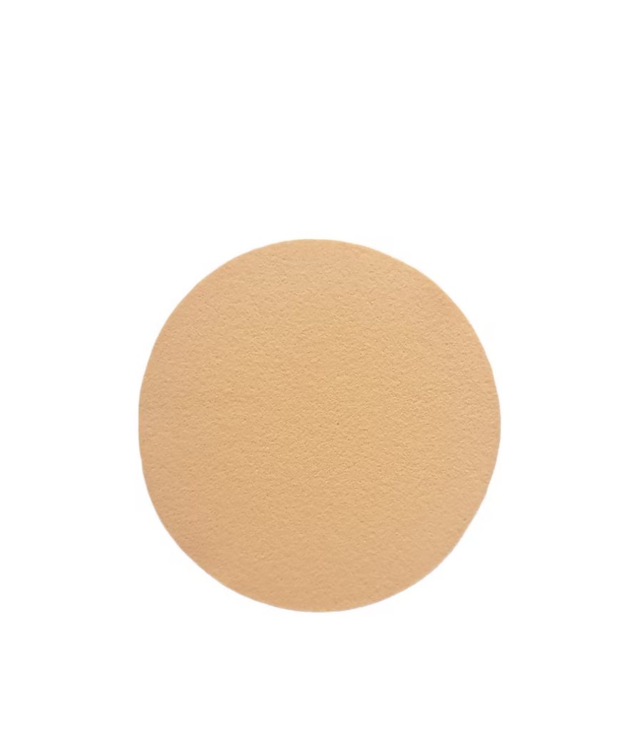 Simple Foundation Sponge