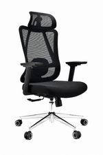 Ergonomic High-Back Mesh Office Chair with Headrest