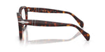 Tortoise eyeglasses on a white background